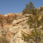 Zion Nationa Park - Utah